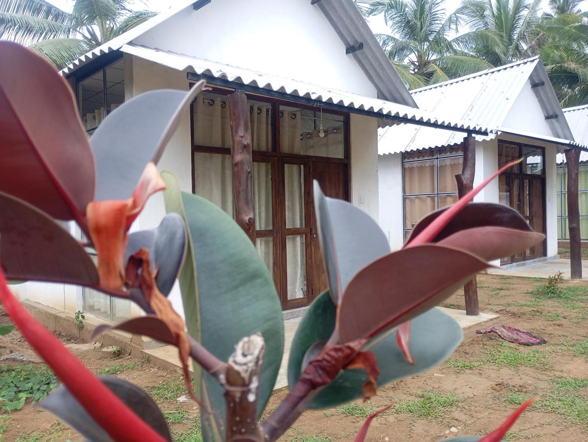 Eagle Safari Cottage Удавалаве Екстериор снимка
