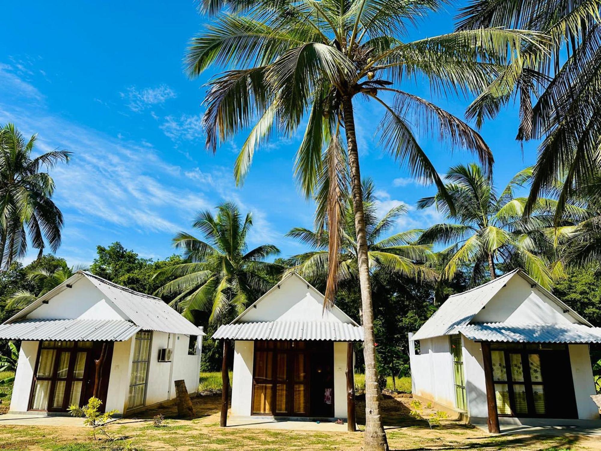 Eagle Safari Cottage Удавалаве Екстериор снимка
